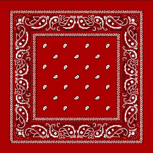 22" Bandana