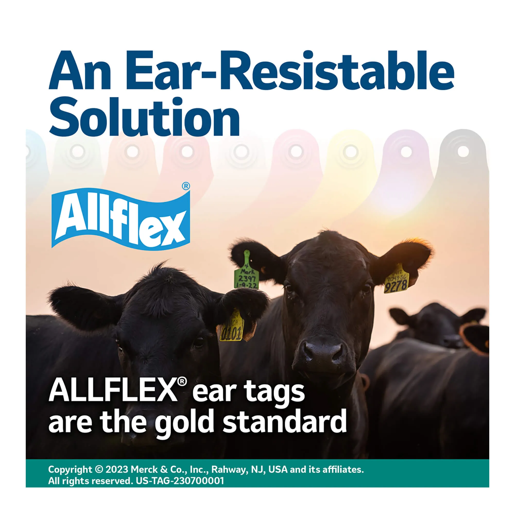 ALLFLEX Safety Ear Tag Removal Tool-Knife