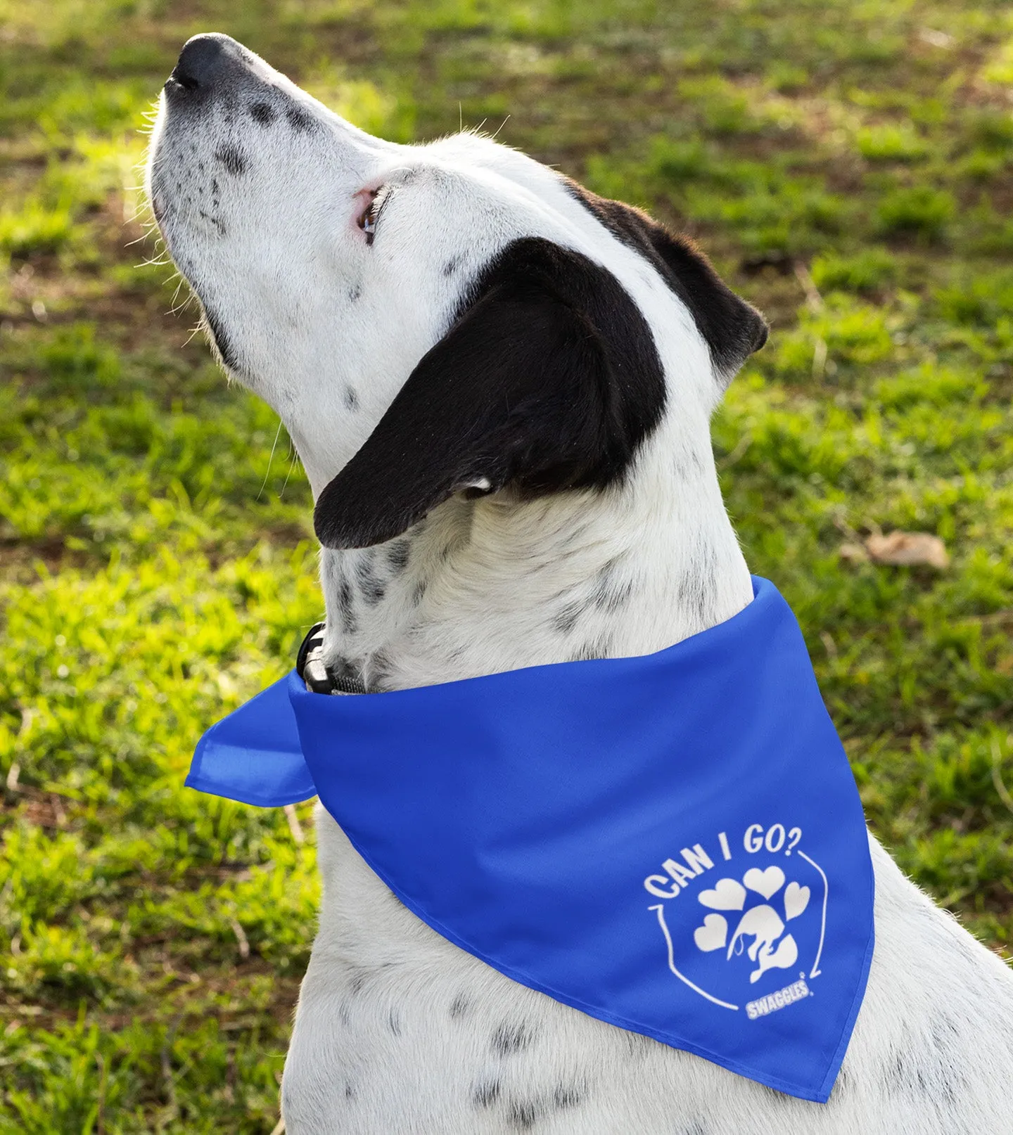 Bandanas