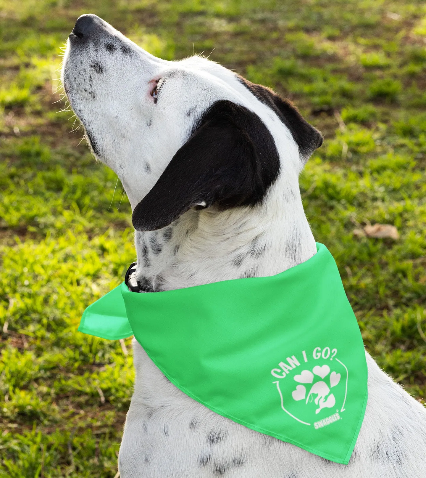 Bandanas