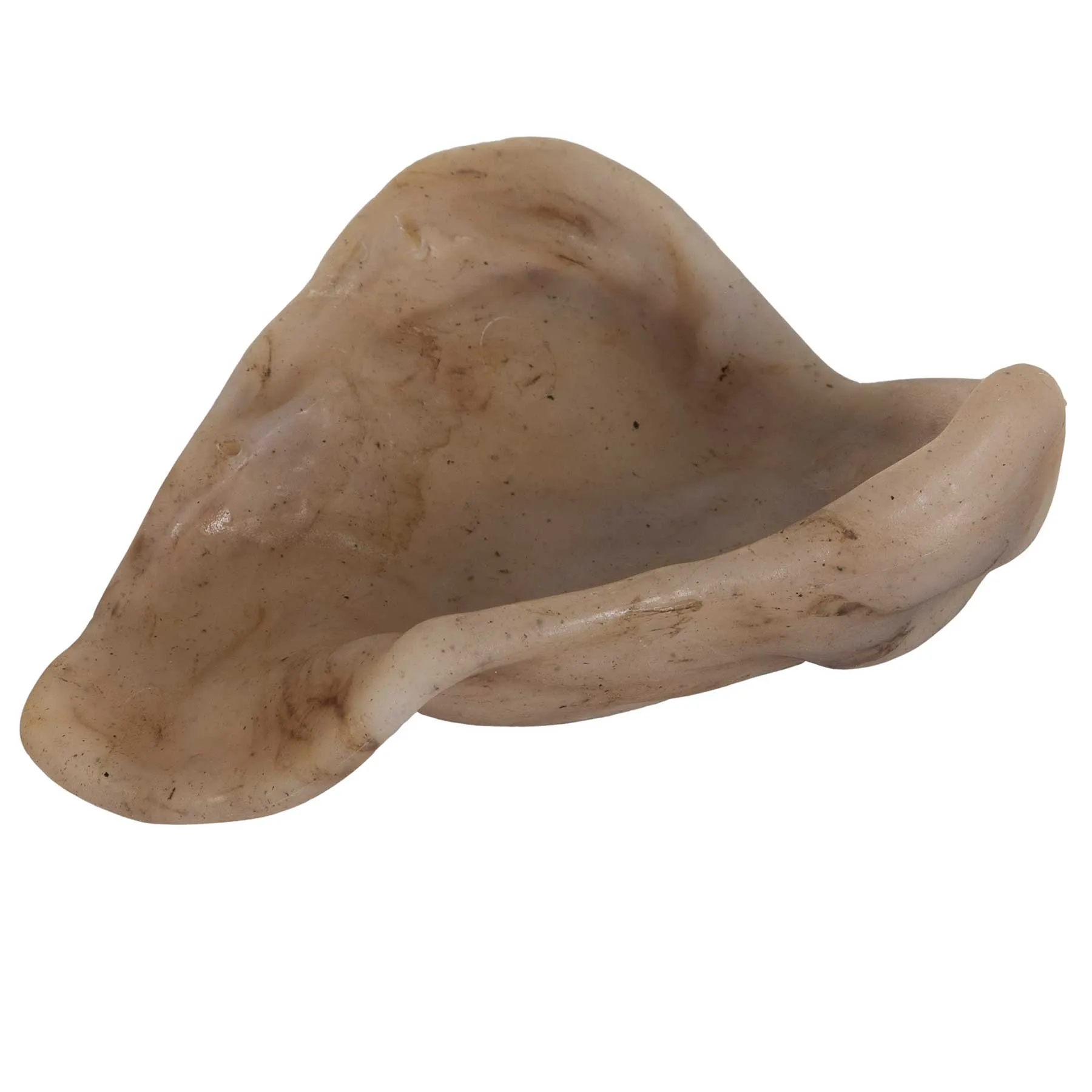 BarkBone Natural Instincts Nylon Pig Ear