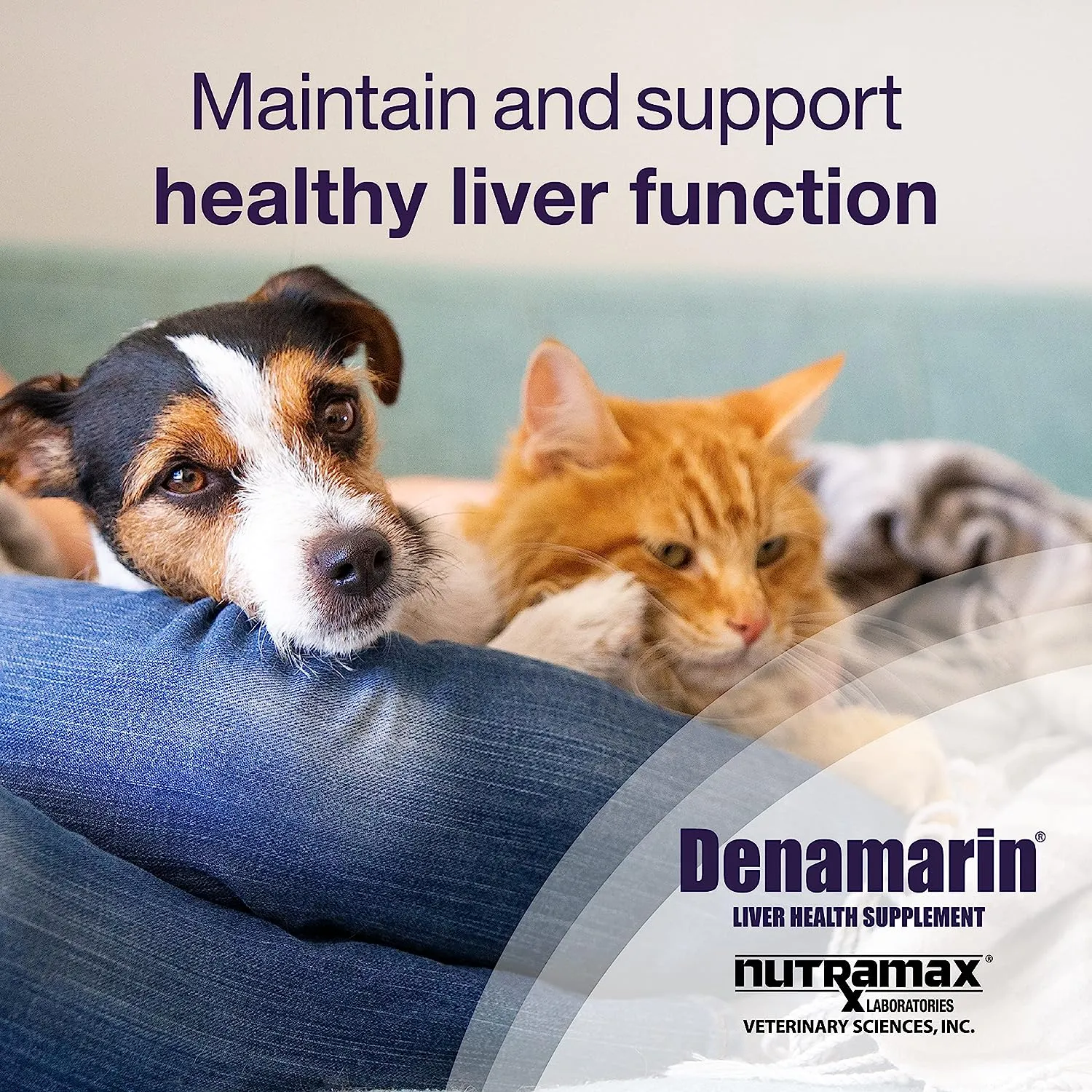 Denamarin Liver Health Stabilized Tablets