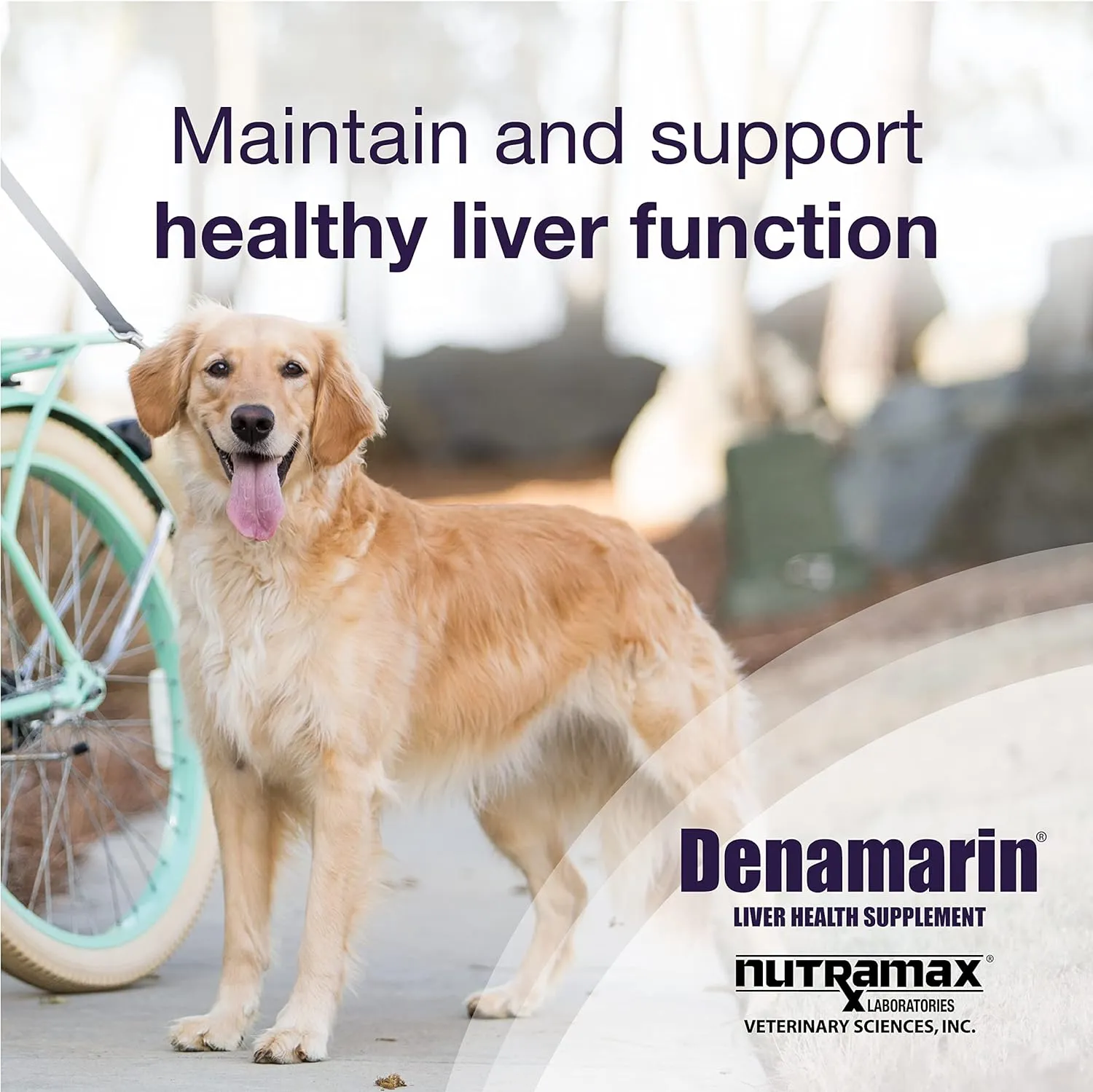 Denamarin Liver Health Stabilized Tablets