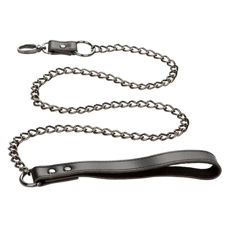 Euphoria Collection Collar With Chain Leash -  Black