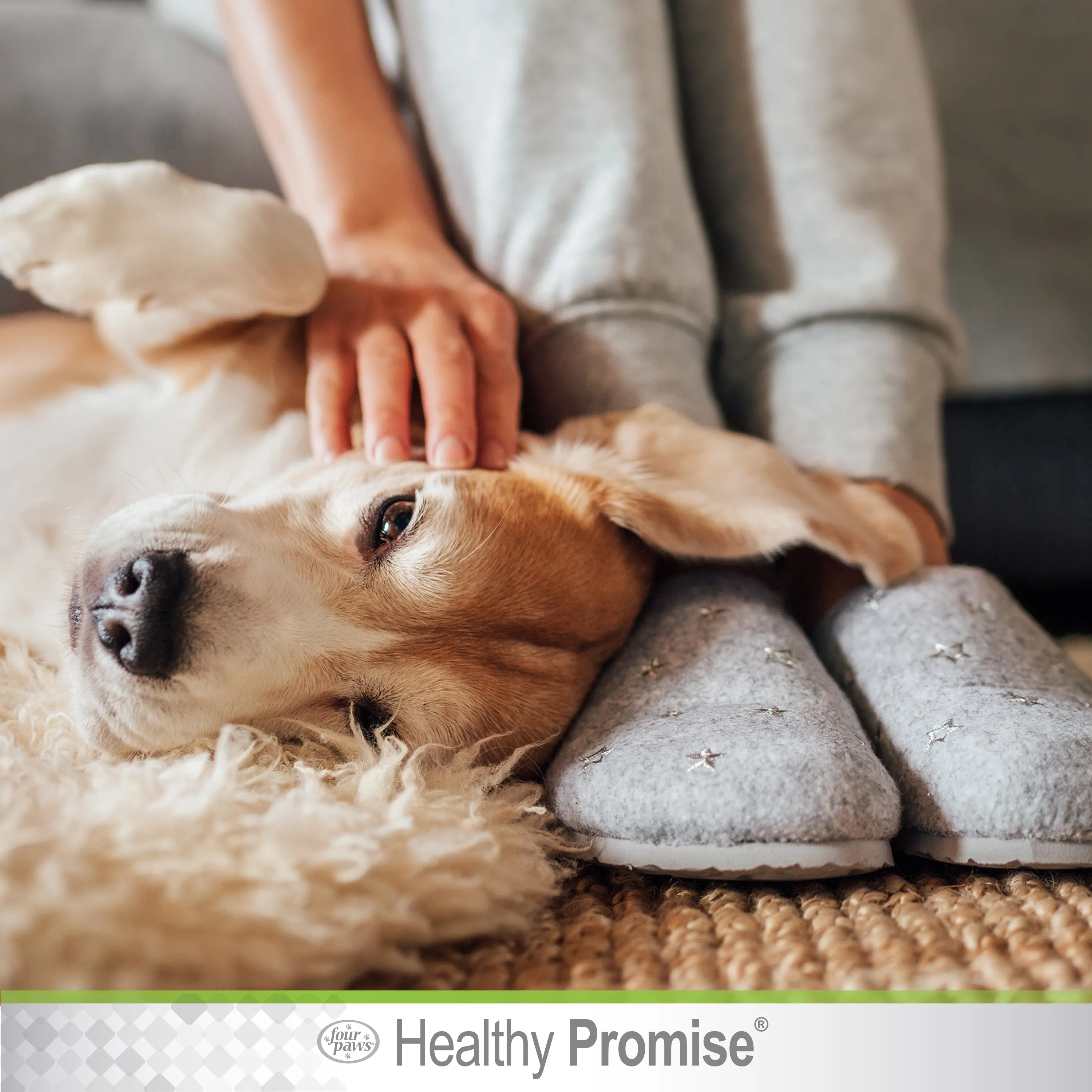 Four Paws® Healthy Promise™ Cat & Dog Ear Wipes