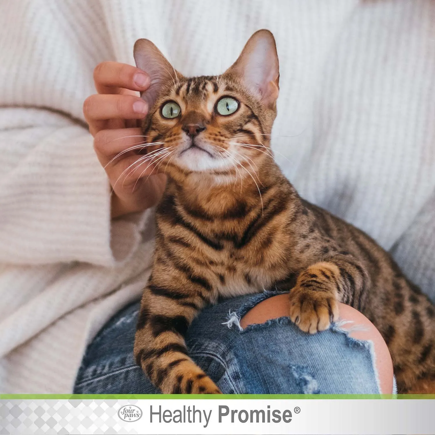 Healthy Promise Aloe Ear Mite Treatment For Cats, 0.75 oz