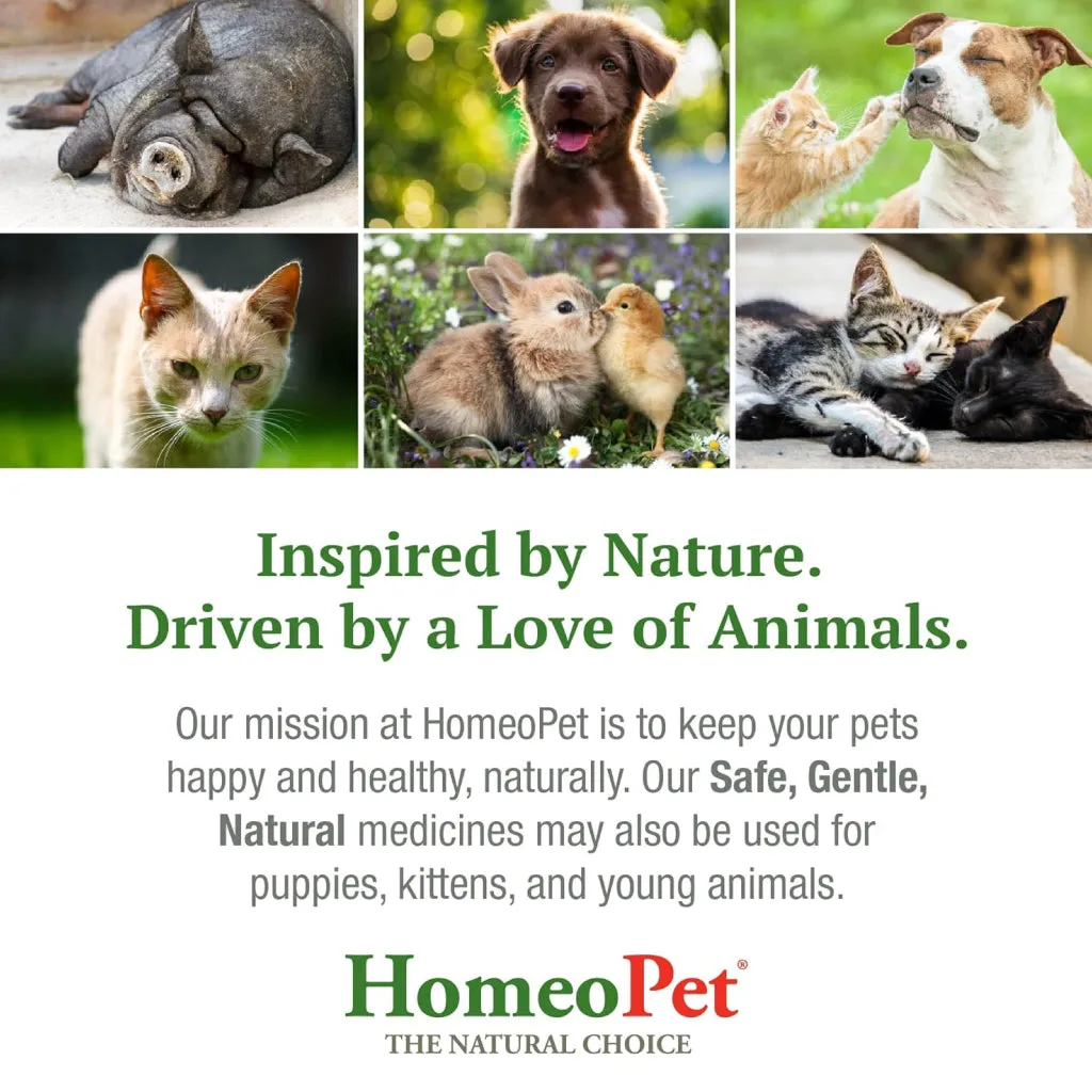 HomeoPet Skin & Itch Relief For Cats & Dogs (15 ml)