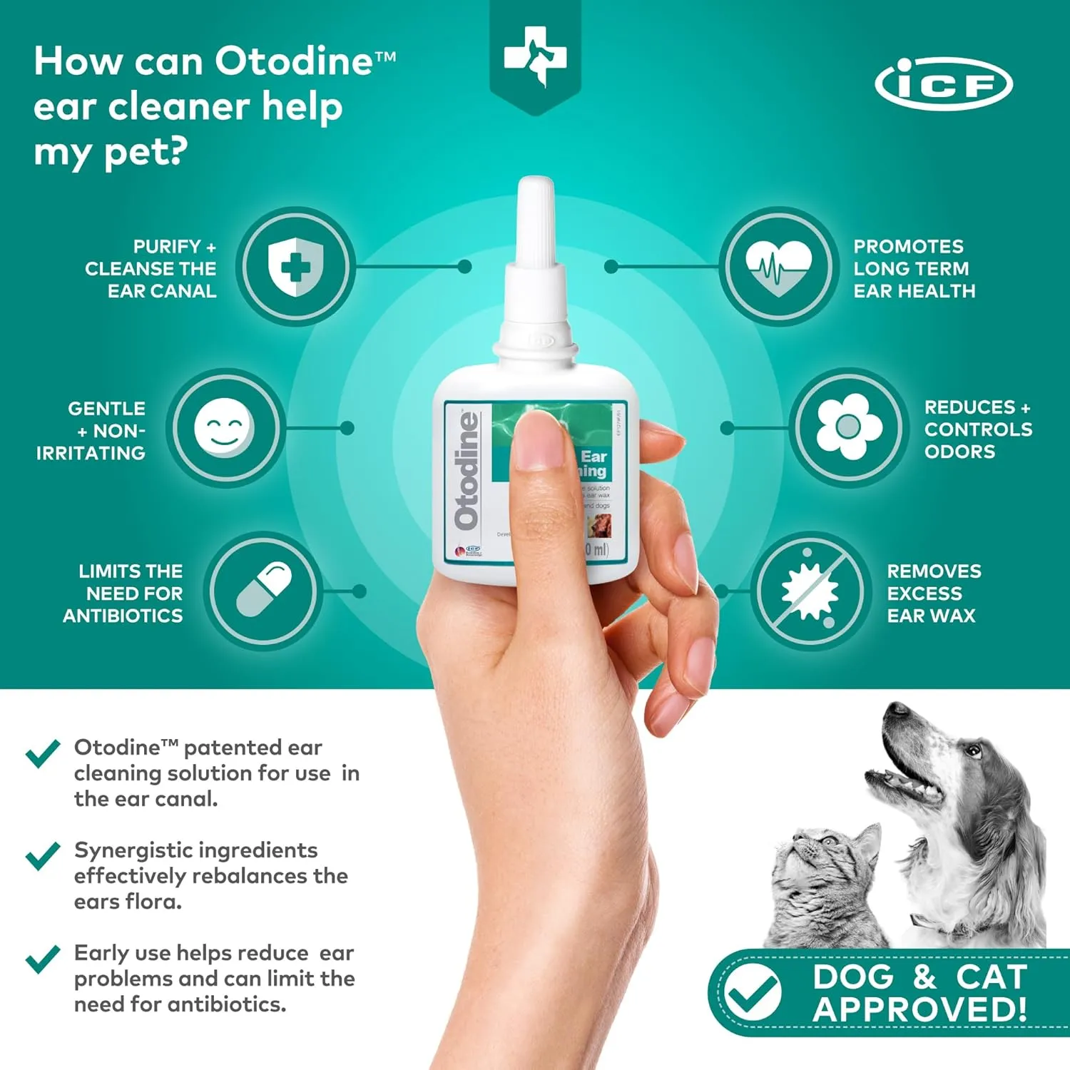 Otodine Ear Solution