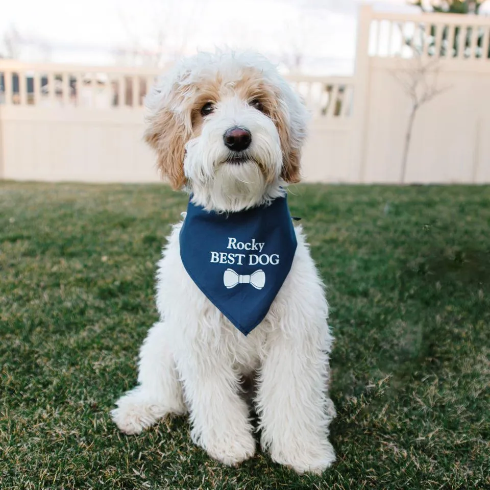 Personalized Dog Bandanas