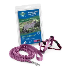 Pet Safe Come With Me Kitty Harness - Burgundy & Rose