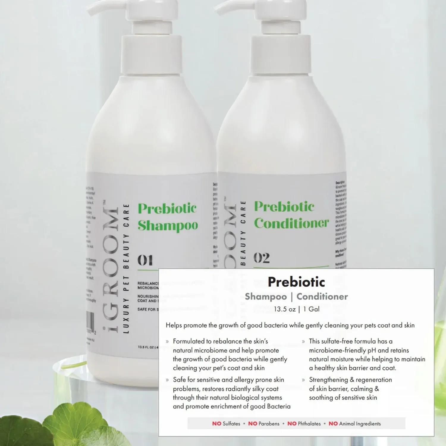 Prebiotic Shampoo Gallon by iGroom