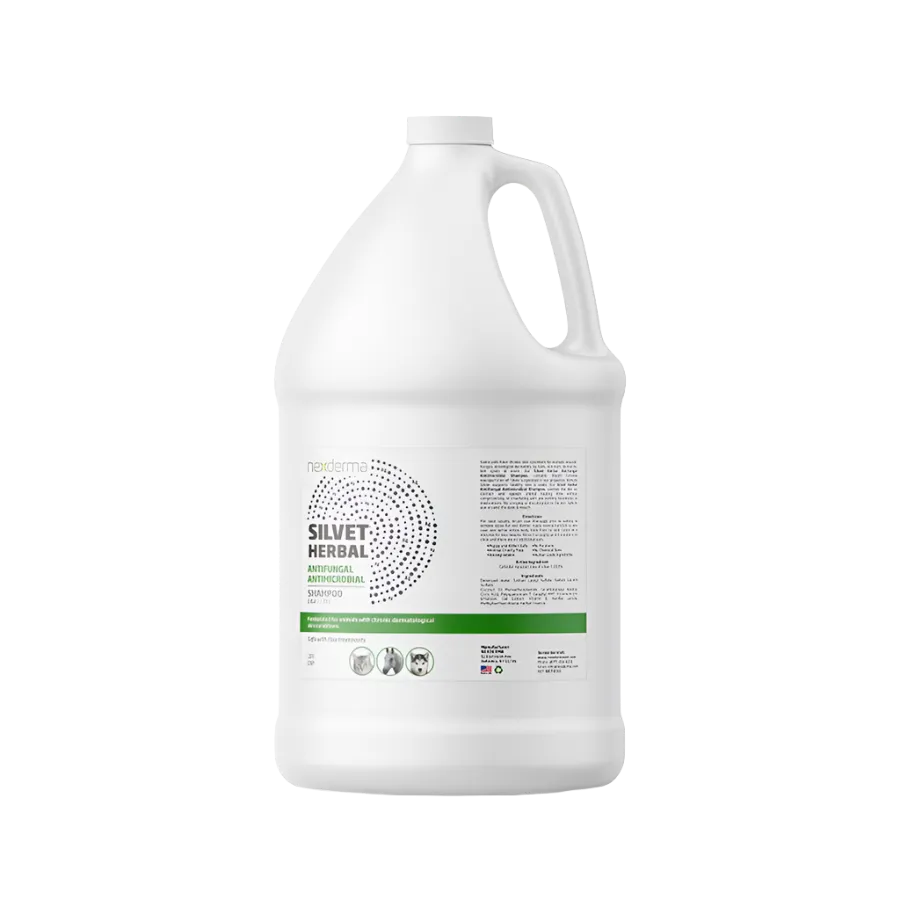 Silvet Herbal Antifungal Antimicrobial Shampoo Gallon by Nexderma