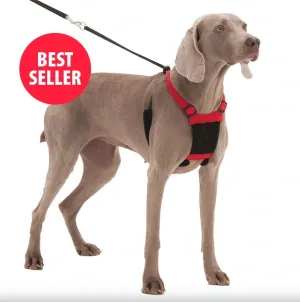 Sporn Non Pulling Dog Harness