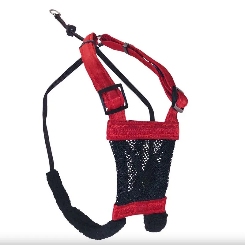 Sporn Non Pulling Dog Harness