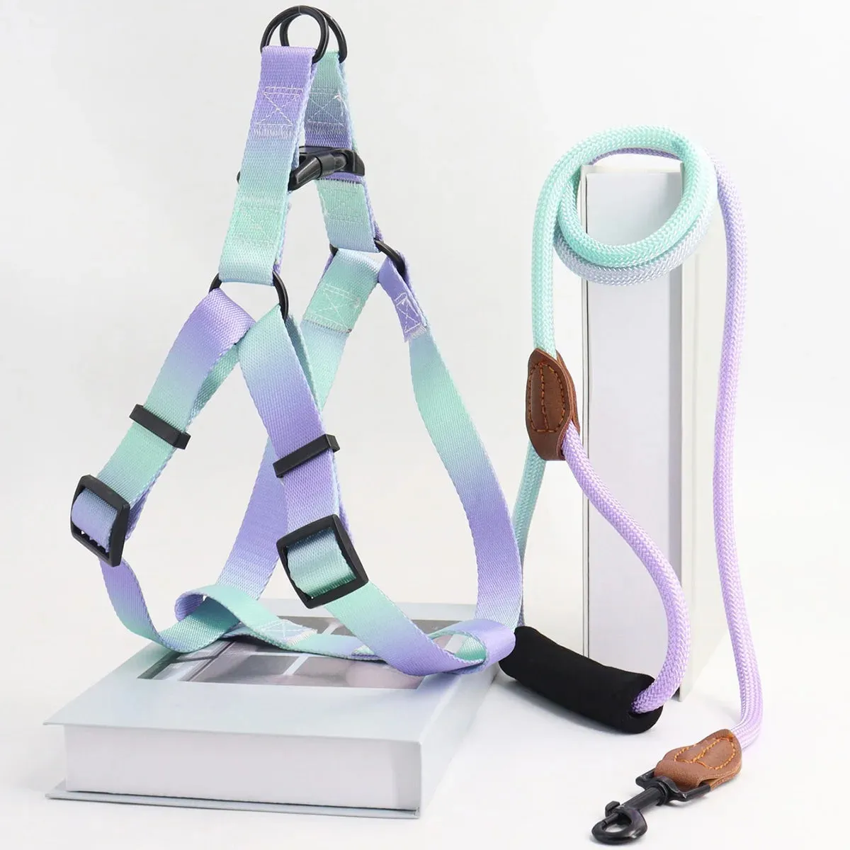 Stylish Pet Vest Harness and Leash Combo