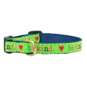 Teacup Collar | Be Kind