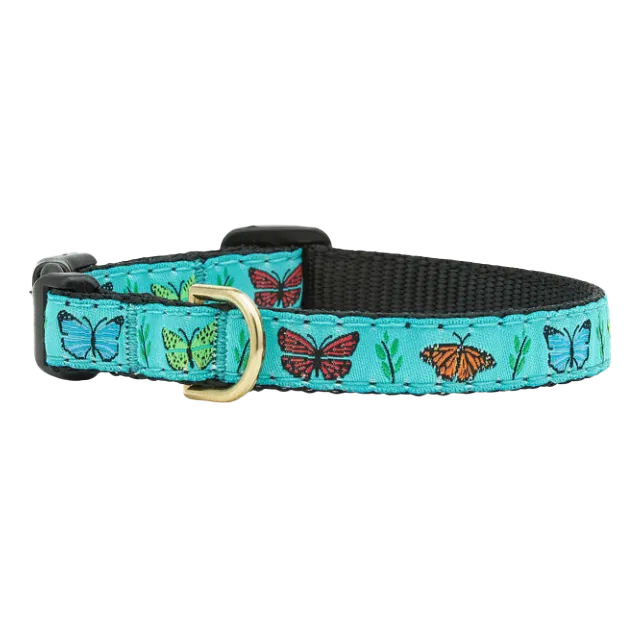 Teacup Collar | Butterfly Effect