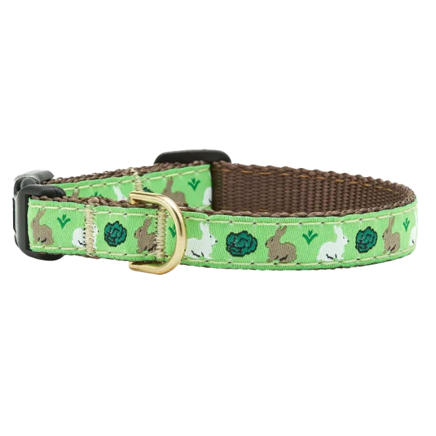 Teacup Collar | Garden Rabbits