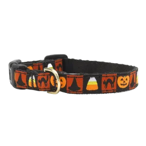 Teacup Collar | Halloween