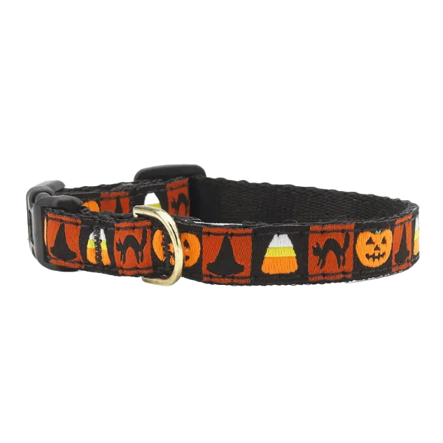 Teacup Collar | Halloween