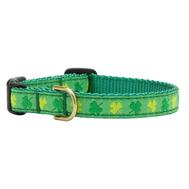 Teacup Collar | Shamrock