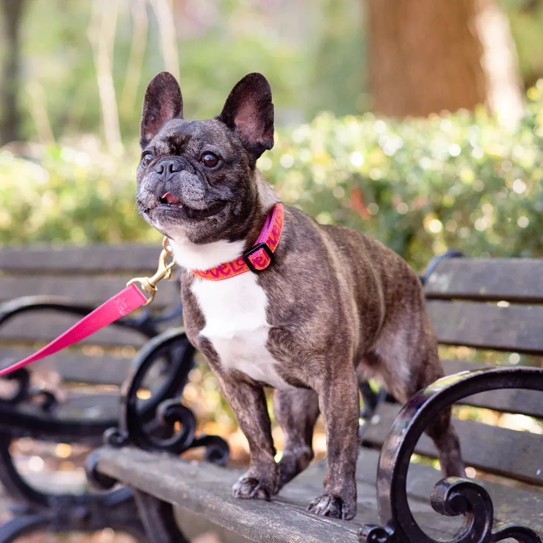 Teacup Leash | Love