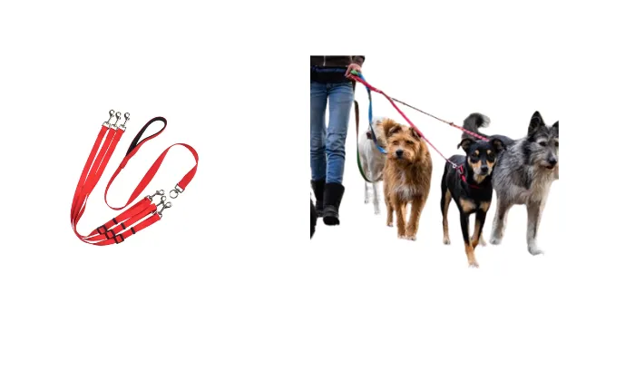 Three Dog Leash