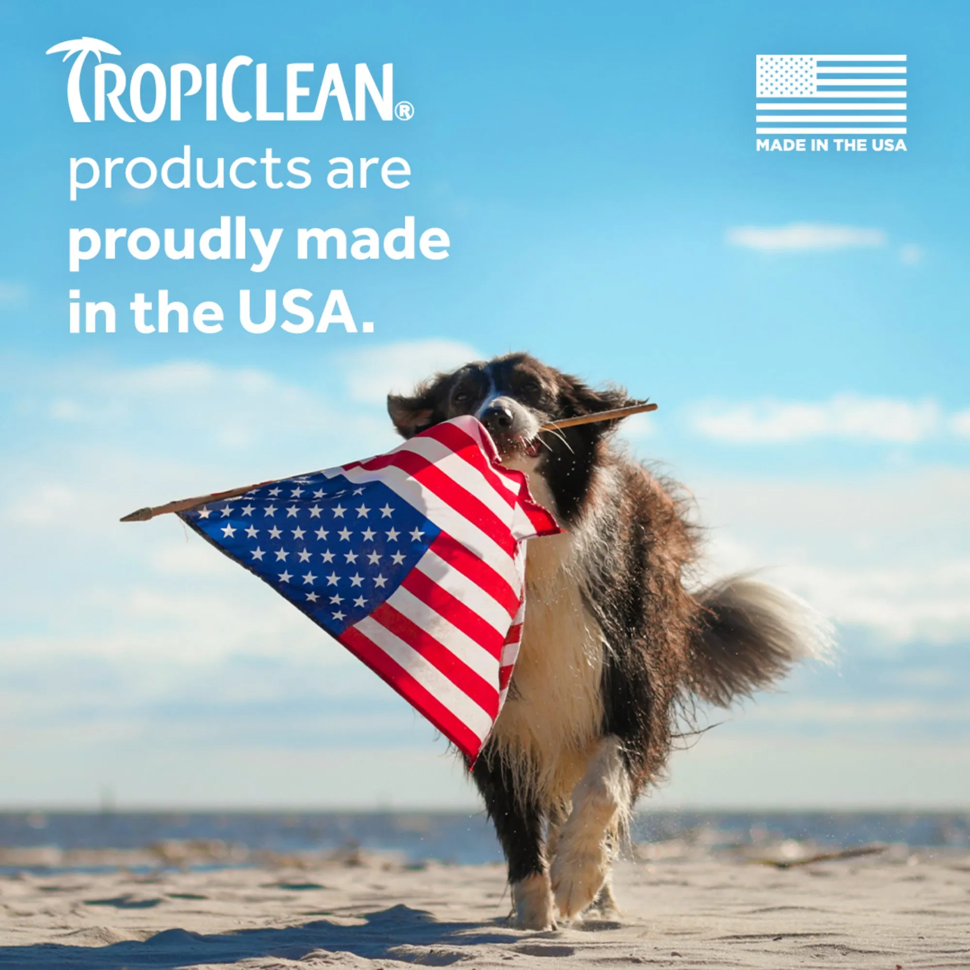 TropiClean Dual Action Cleansing   Drying Ear Cleaner for Dogs and Cats