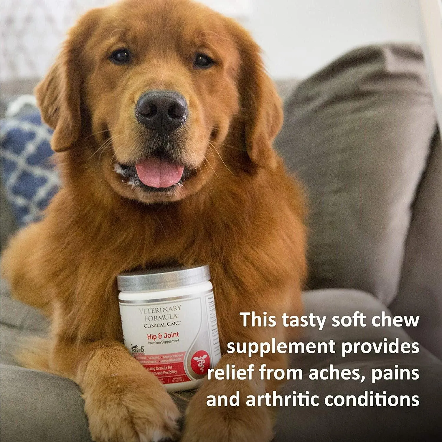 Veterinary Formula Clinical Care Hip and Joint Supplement