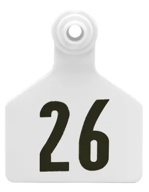 Z2 2-Piece Large Numbered Tags, White